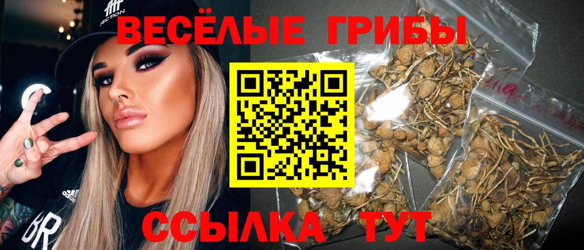 купить наркотик  Псилоцибиновые грибы прущие грибы  Вход с VPN  Воскресенск 